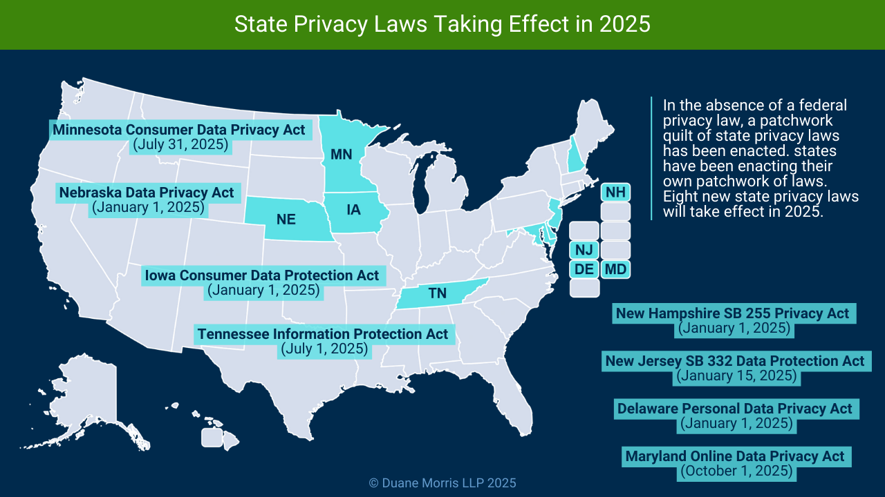 Navigating the Evolving Landscape of US Privacy Litigation in April ...